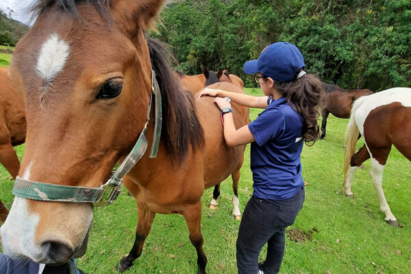 WhatsApp Image 2023-02-28 at 17.51.46