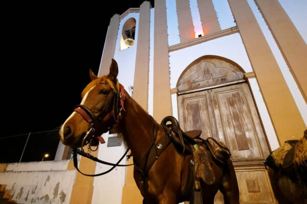 WhatsApp Image 2023-02-28 at 17.52.06