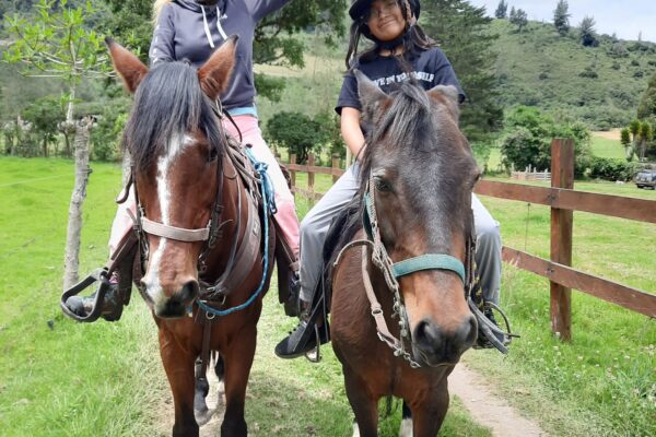 WhatsApp Image 2023-02-28 at 17.52.07