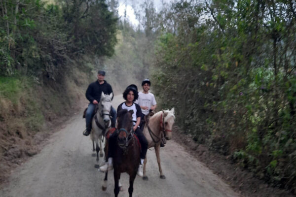 WhatsApp Image 2023-02-28 at 17.52.23 (1)