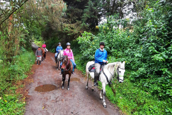 WhatsApp Image 2023-02-28 at 17.52.26