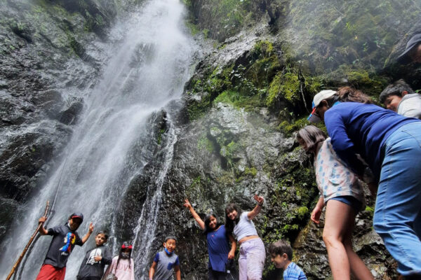 WhatsApp Image 2023-02-28 at 17.52.29