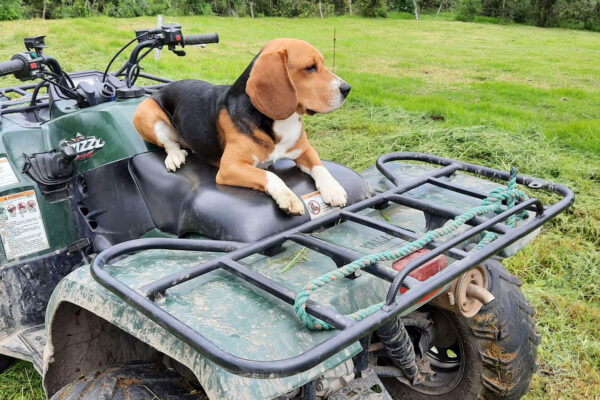 WhatsApp Image 2023-03-14 at 17.08.35