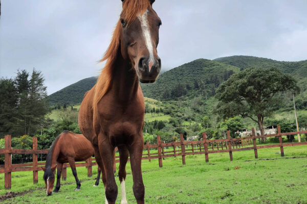 WhatsApp Image 2023-03-14 at 17.09.27