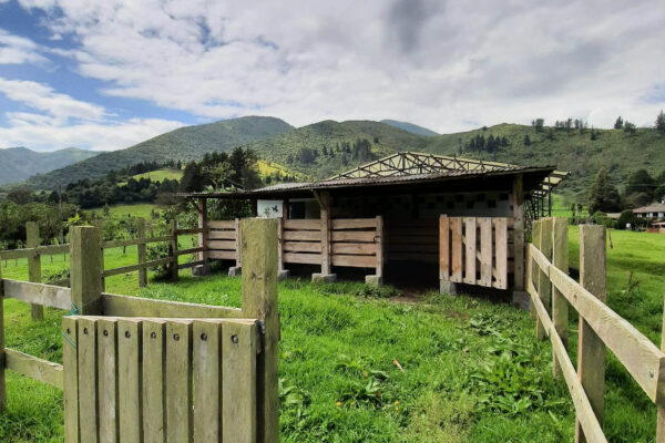 WhatsApp Image 2023-03-30 at 19.24.39 (1)