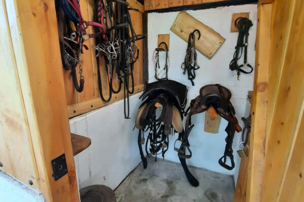 WhatsApp Image 2023-03-30 at 19.24.40 (1)