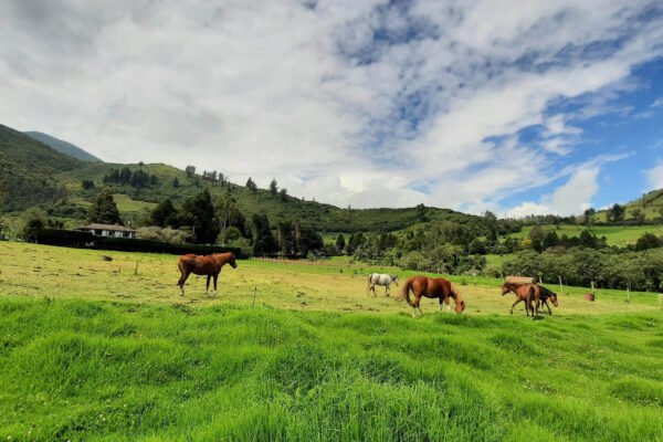 WhatsApp Image 2023-03-30 at 19.24.40