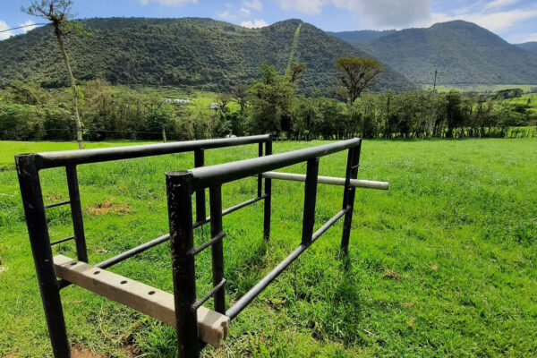 WhatsApp Image 2023-03-30 at 19.24.41