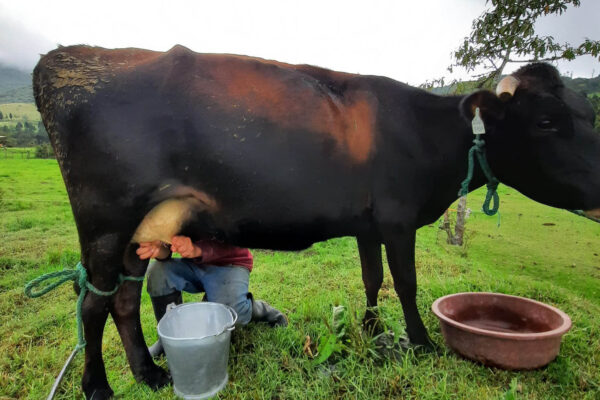 WhatsApp Image 2023-03-30 at 19.28.45