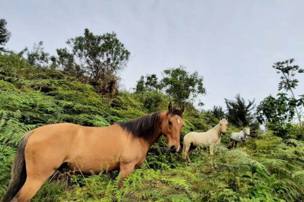 WhatsApp Image 2023-03-30 at 19.29.02