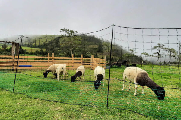 WhatsApp Image 2023-03-30 at 19.29.04